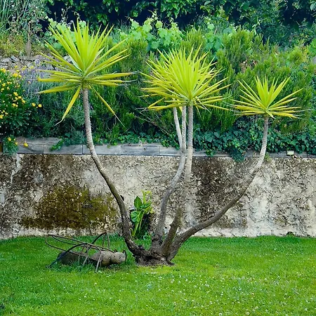 Aguas Del Venero Casa rural Losar De La Vera