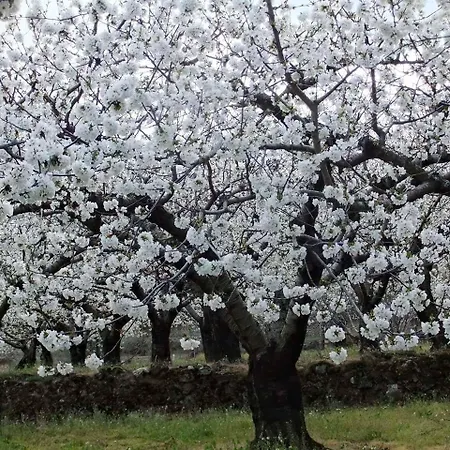 Kır Evi Aguas Del Venero