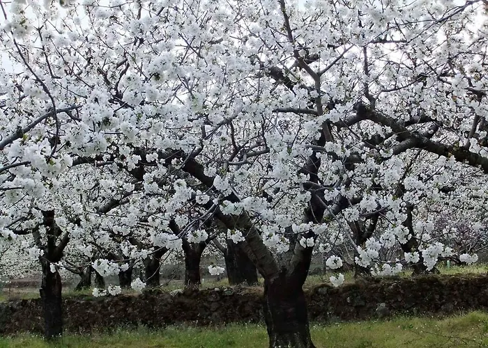 Landhuis Aguas Del Venero